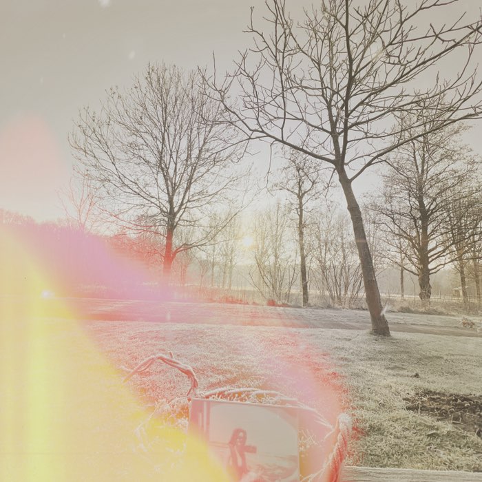 Photograph by @tuur, shot with Kitschy Richy + Standard + Rijks