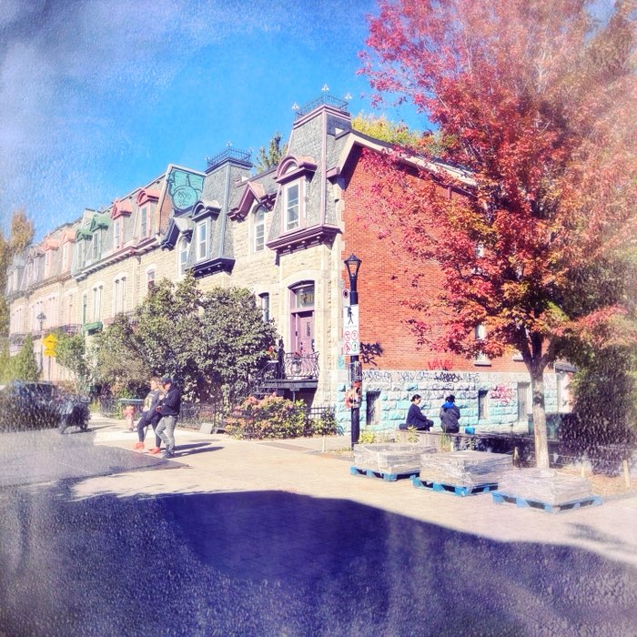 Photograph by @chap56593, shot with Frosty + Tilda + Apollo