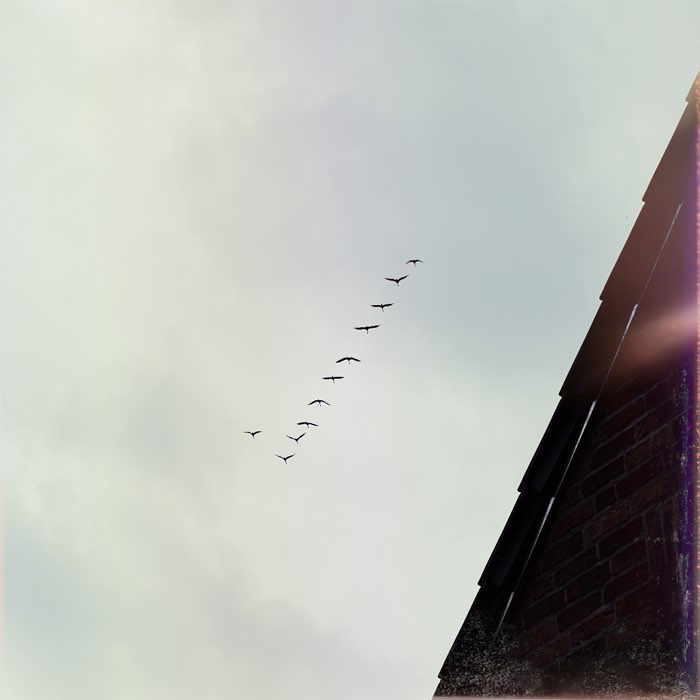 Photograph by @mail2dude9613, shot with Reeta + Aatto