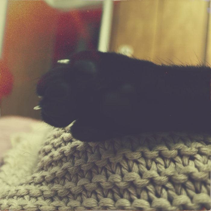 Photograph by @Penavera, shot with Mabel + Dixie