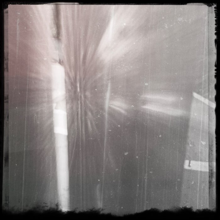 Photograph by @Tanja7961, shot with Hugo + Stranger