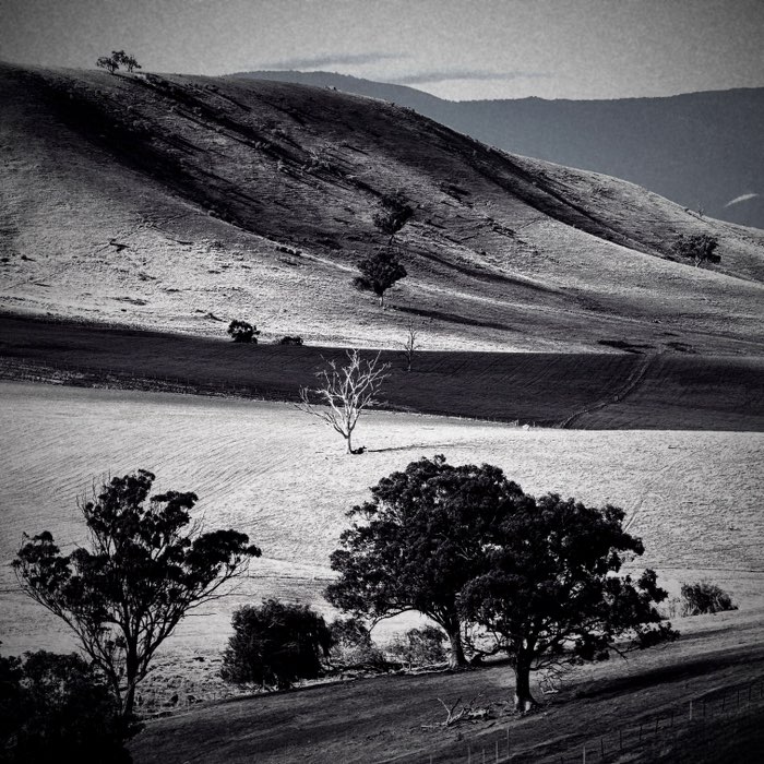 Photograph by @AnnaEnsaygirl, shot with Stephen F76 + Butler 1814