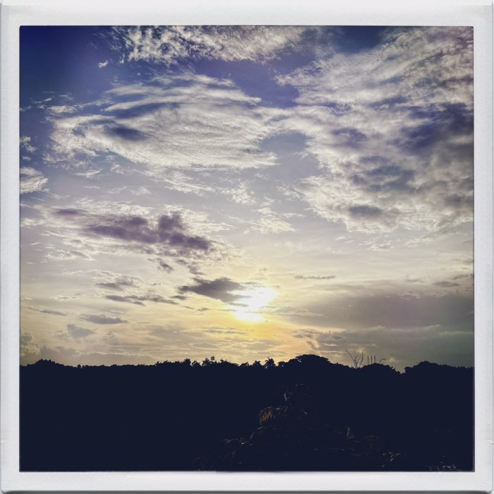 Photograph by @rolo, shot with Leonard + Jolly Rainbo 2X + Abbot K20