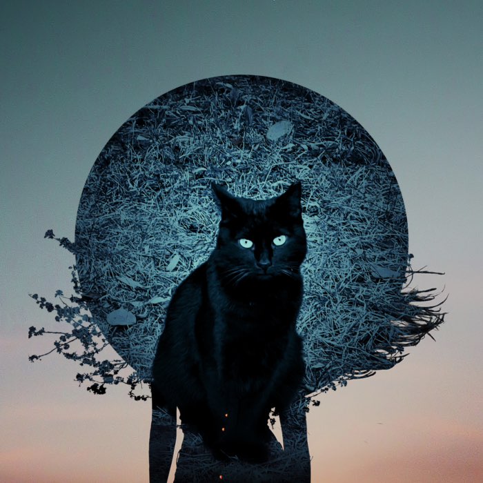 Photograph by @AsikoSand, shot with Cadet Blue Gel + Combo 2X + Smith