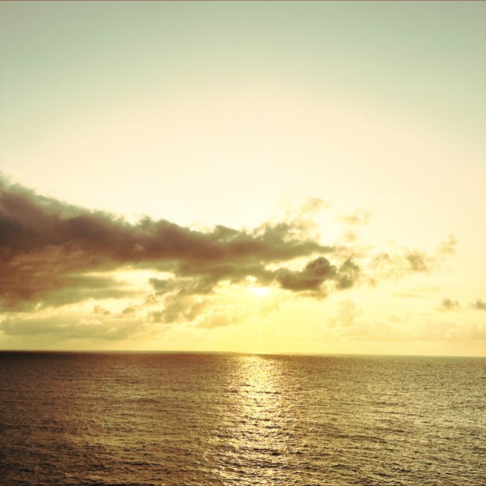 Photograph by @bayin, shot with Juan + Liberty