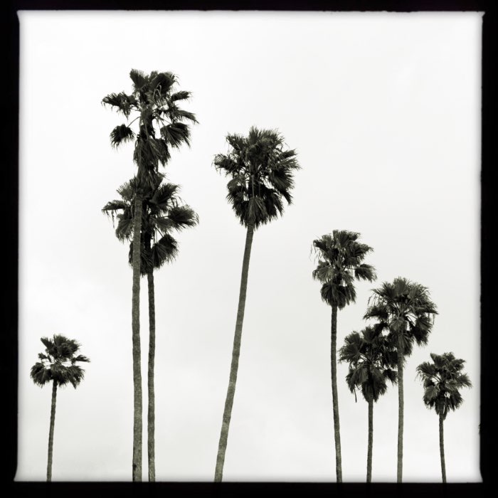 Photograph by @PatDodd, shot with Pop Rox + Claunch 72 + Elijah