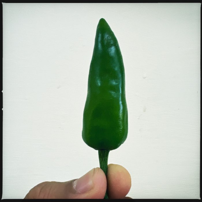 Photograph by @Dhaval4654, shot with Loftus + DC + Tasty Pop