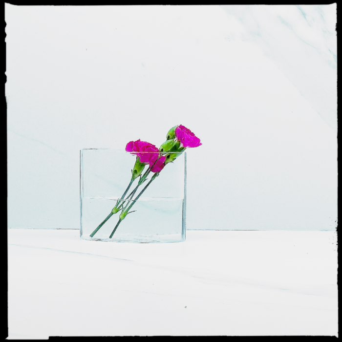 Photograph by @Stephen4213, shot with Burcham + Flamingo 777 + Blanko Noir
