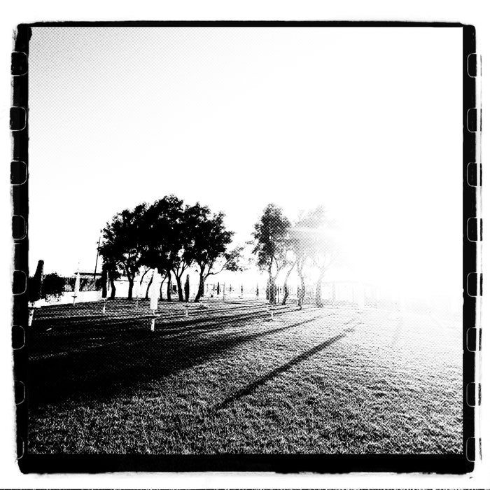 Photograph by @giustonio61, shot with Johannes + SPRKT-BW