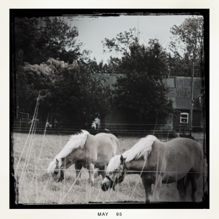 Photograph by @Remi, shot with Alhambra PX + BlacKeys B+W