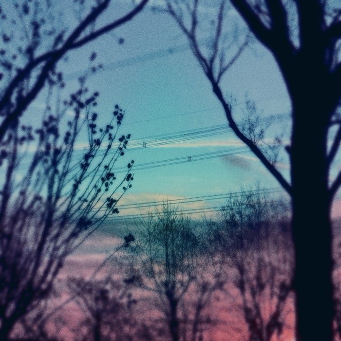 Photograph by @iefAnna, shot with Berry Pop + Lui + Djamma