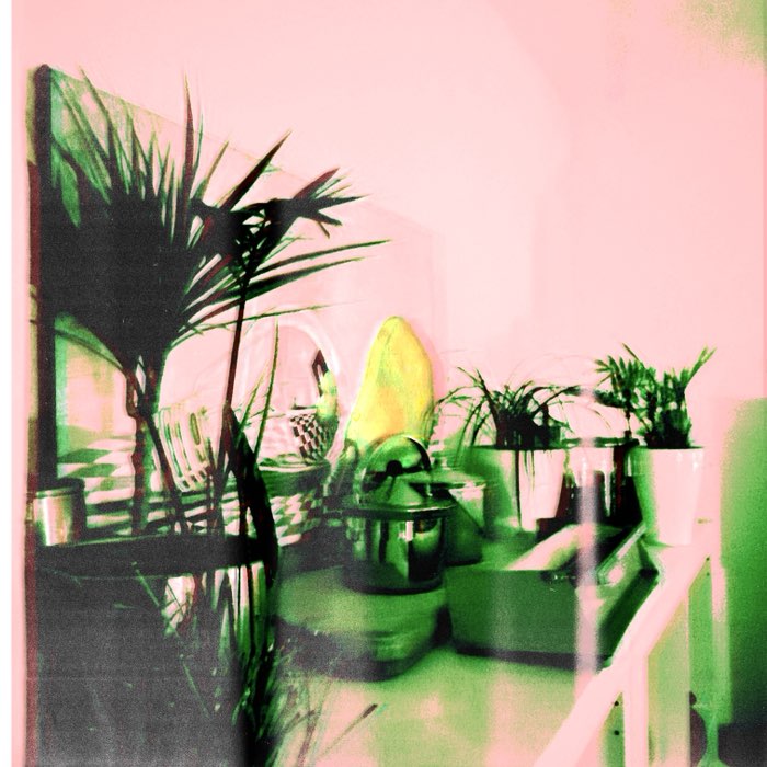 Photograph by @Marita6214, shot with Carlson C + Laser CMYK