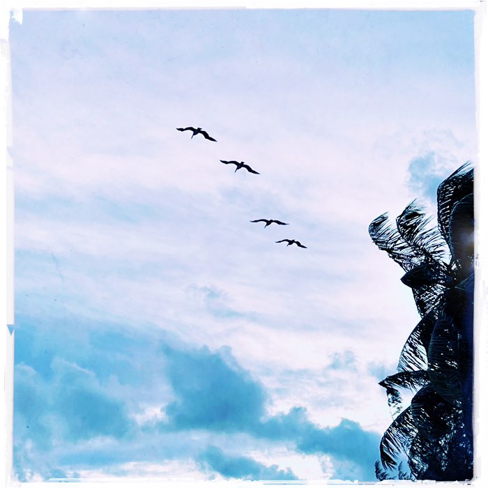 Photograph by @rolo, shot with Antoni + Big Easy