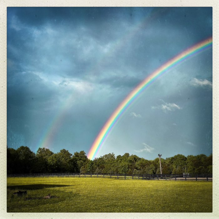 Photograph by @knave, shot with Ina's 1982 + Jolly Rainbo 2X + Müller