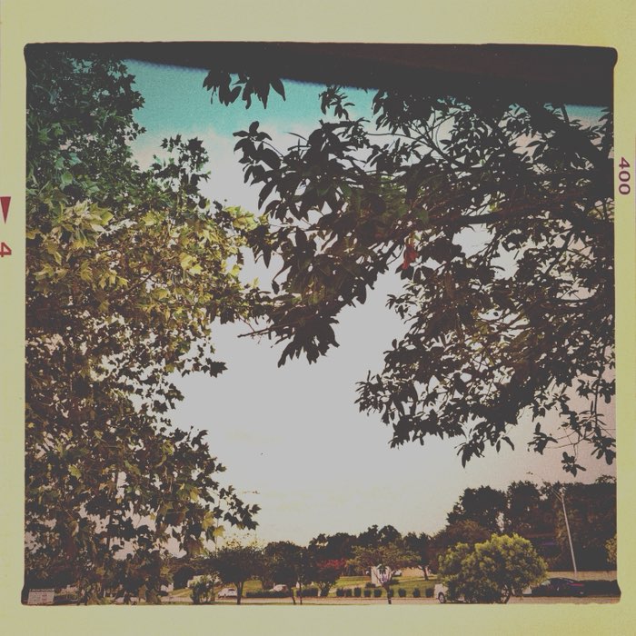 Photograph by @cvrinios, shot with Frida + Mercado 35
