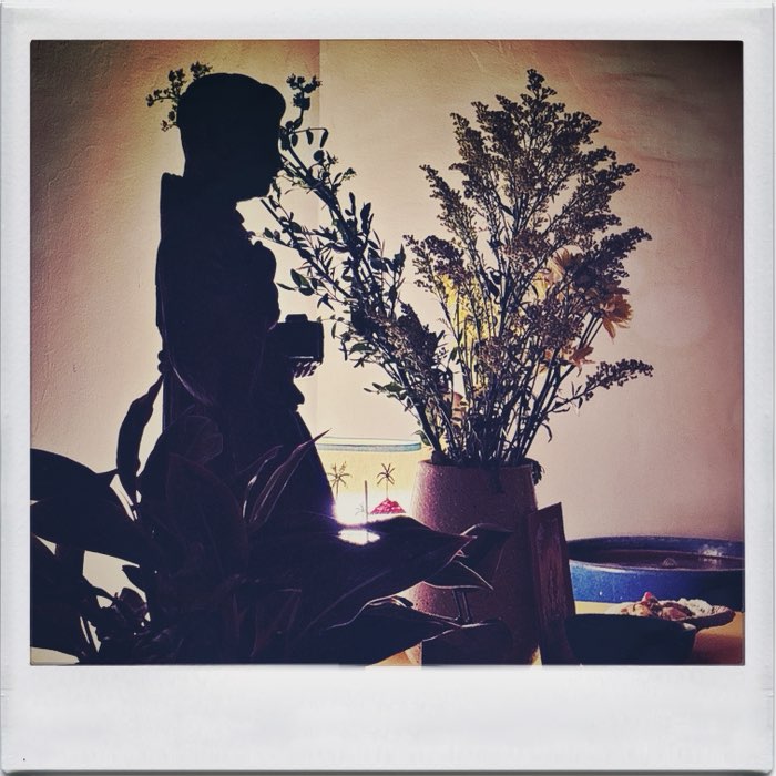 Photograph by @Miguel1881, shot with Helga Viking + Abbot K30