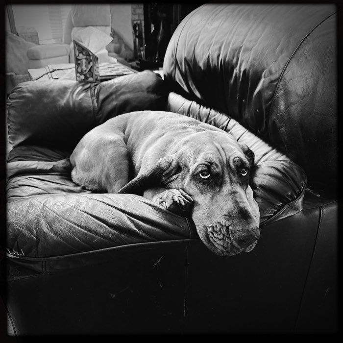 Photograph by @JeffJones, shot with Rudolph + BlacKeys Supergrain + Triple Crown