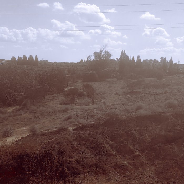 Photograph by @wrprz, shot with Hema + Blitzen