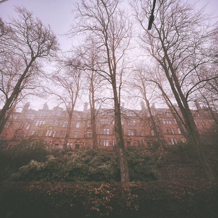 Photograph by @rmackenzie, shot with Purple Raindrops Gel + Jane + Telegraph