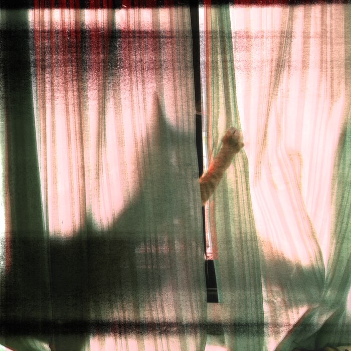 Photograph by @maiylah_3485, shot with Murasaki 1000 + Laser CMYK