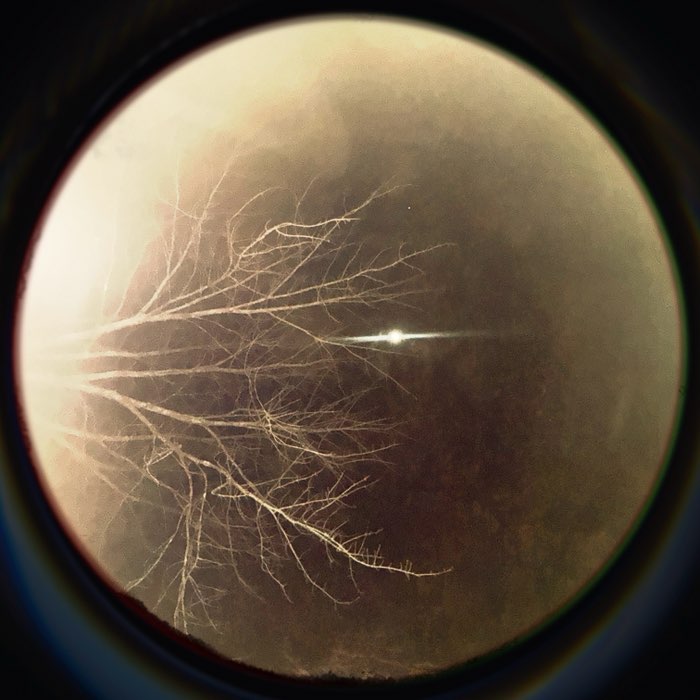 Photograph by @laveau, shot with Madalena + Pop Rox + Porthole SN92