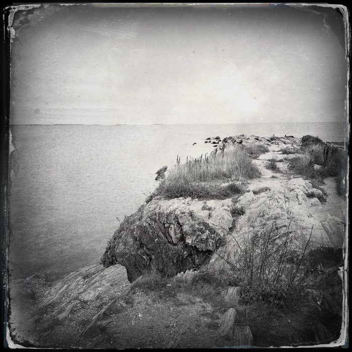 Photograph by @MEphotogrrl, shot with Libatique 73 + D-Type Plate