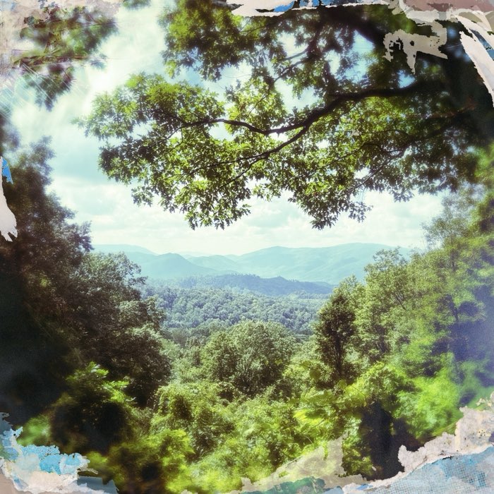 Photograph by @Erin, shot with Chan + Kowloon 1839