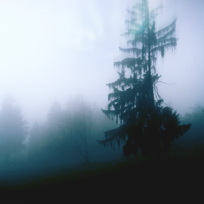 Photograph by @Arina, shot with Bodhi SW + Dreampop + Midnight Sun AS
