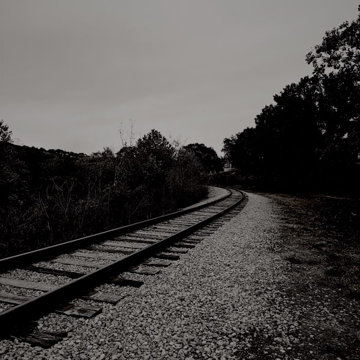 Photograph by @Bethany, shot with Arjan BW