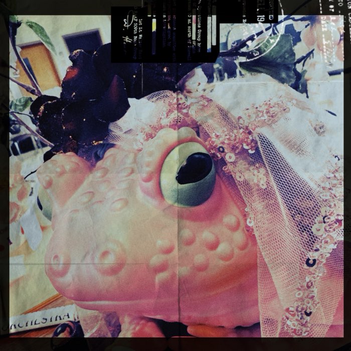Photograph by @laveau, shot with Rudolph + TICTAC 04 + Lighthouse 72