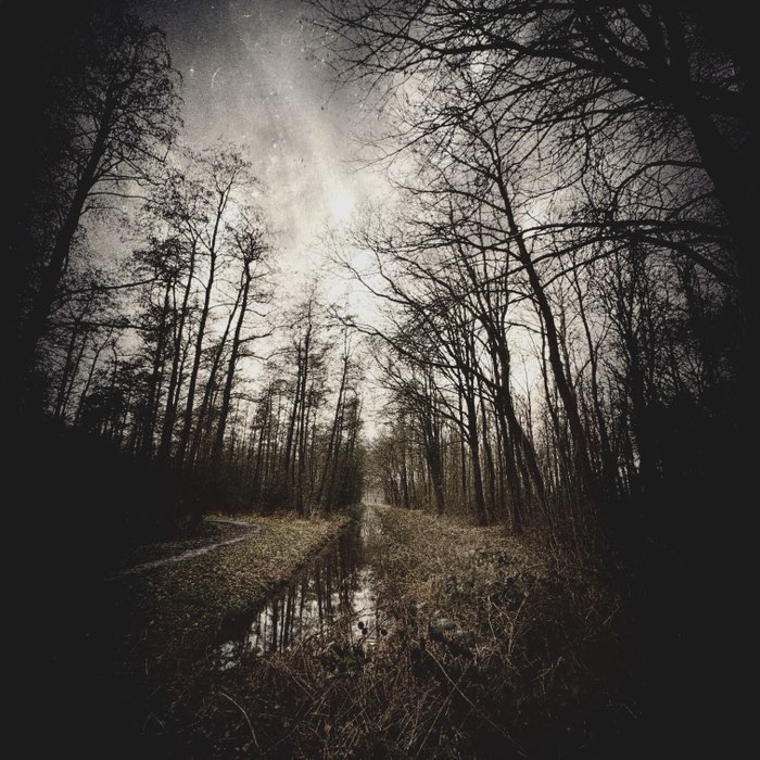 Photograph by @iefAnna, shot with Apollo + Vicuña CL + Pearl