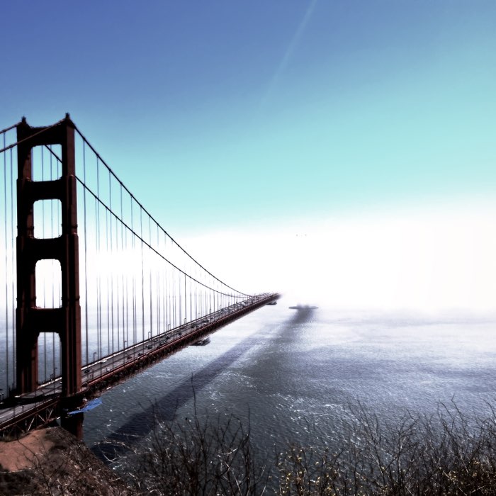 Photograph by @LevenZo, shot with Blanko BL4 + Kuma