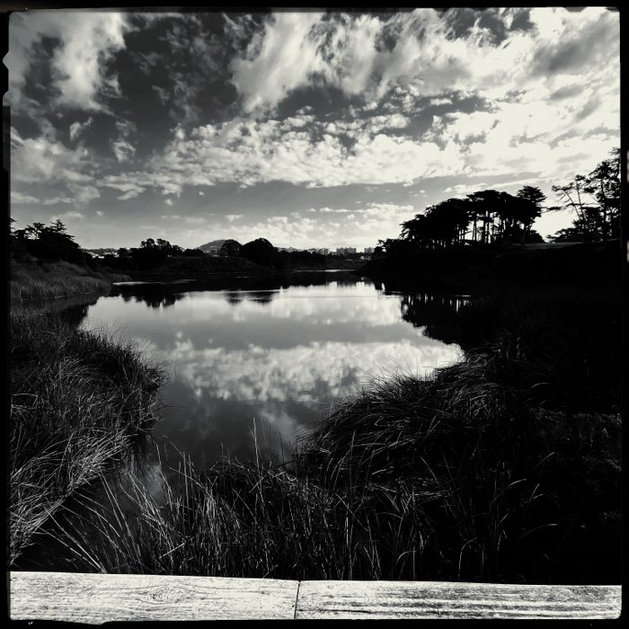 Photograph by @anastasiaSF, shot with Ranger 66 + Triple Crown + BlacKeys IR