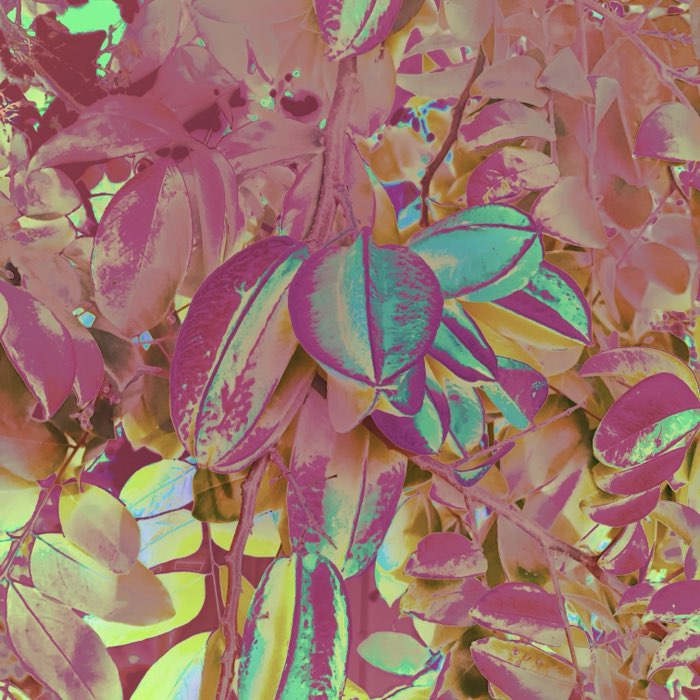 Photograph by @rohro2156, shot with Mitchell + Glow Pop + Louis XIV Infrared