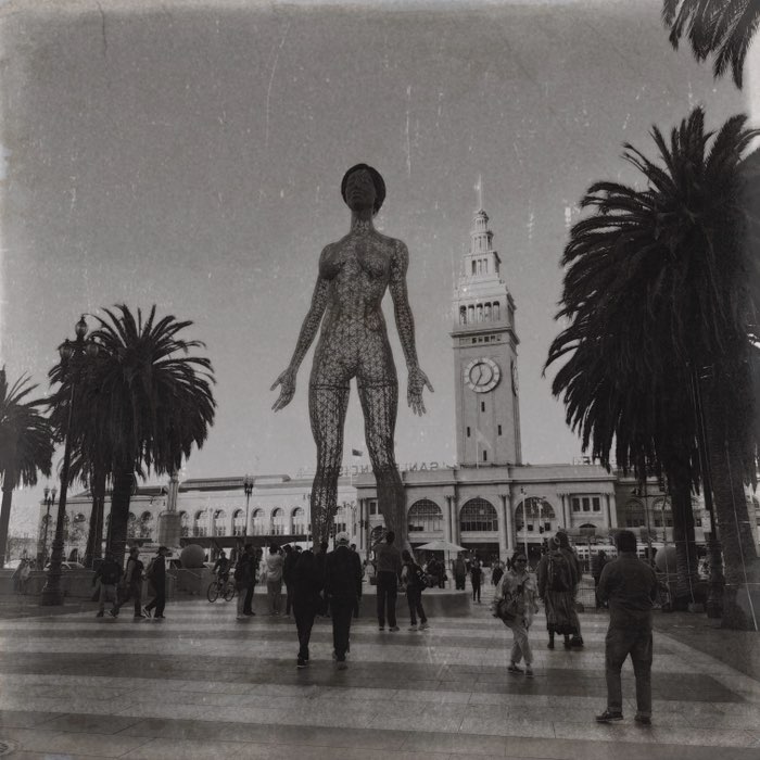 Photograph by @chris, shot with André + BlacKeys 1942