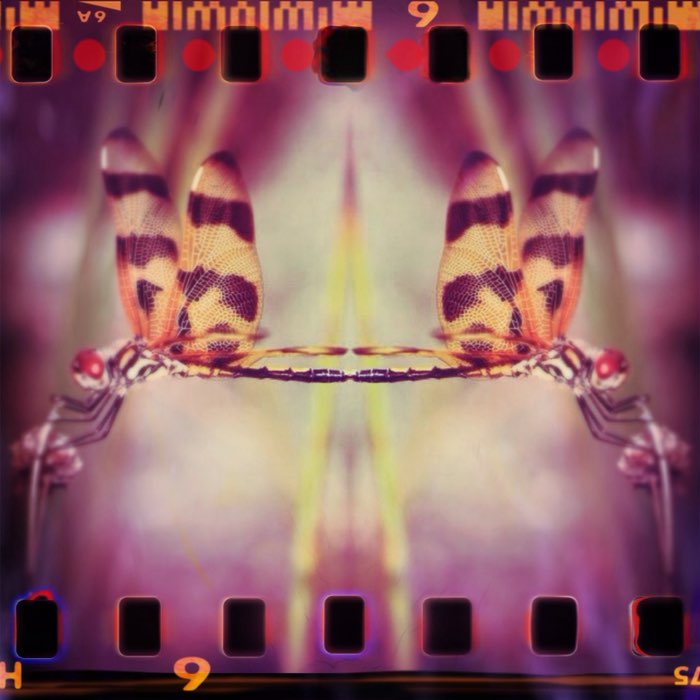 Photograph by @muse, shot with Ricky P + SPRKT-RKT