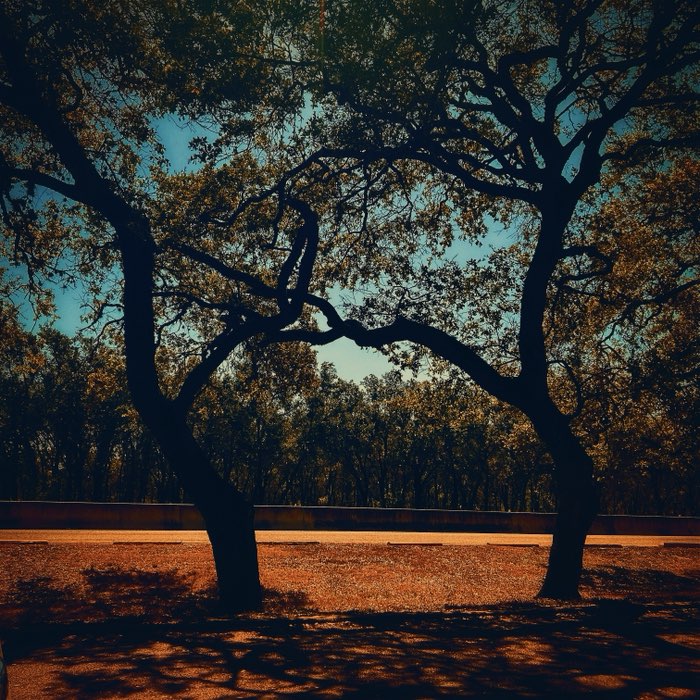Photograph by @AnaHernandez, shot with Sergio + Djamma + Apollo