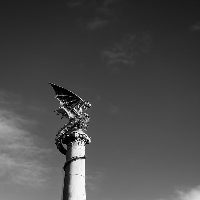 Photograph by @LordQuercia, shot with Claire 42 + Queen West + Triple Crown