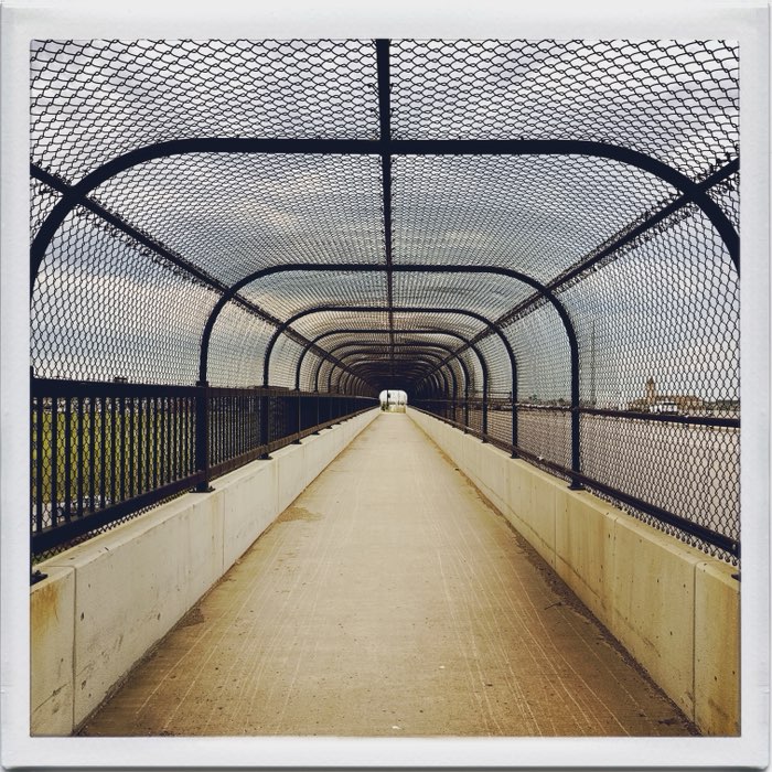 Photograph by @JeffJones, shot with Jane + Abbot K20 + Apollo