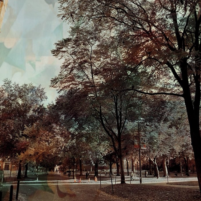 Photograph by @Alyson, shot with Hema + Delaunay 1941 + Dreampop