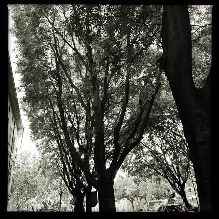 Photograph by @moro0972, shot with Chao-Tang + Cadet Blue Gel + Claunch 72