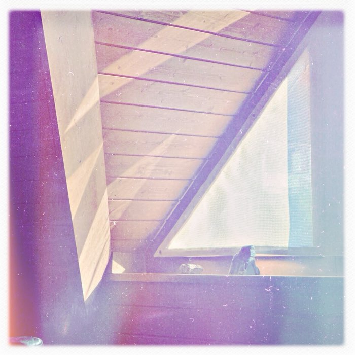 Photograph by @artista49, shot with Bettie XL + Ina's 1935