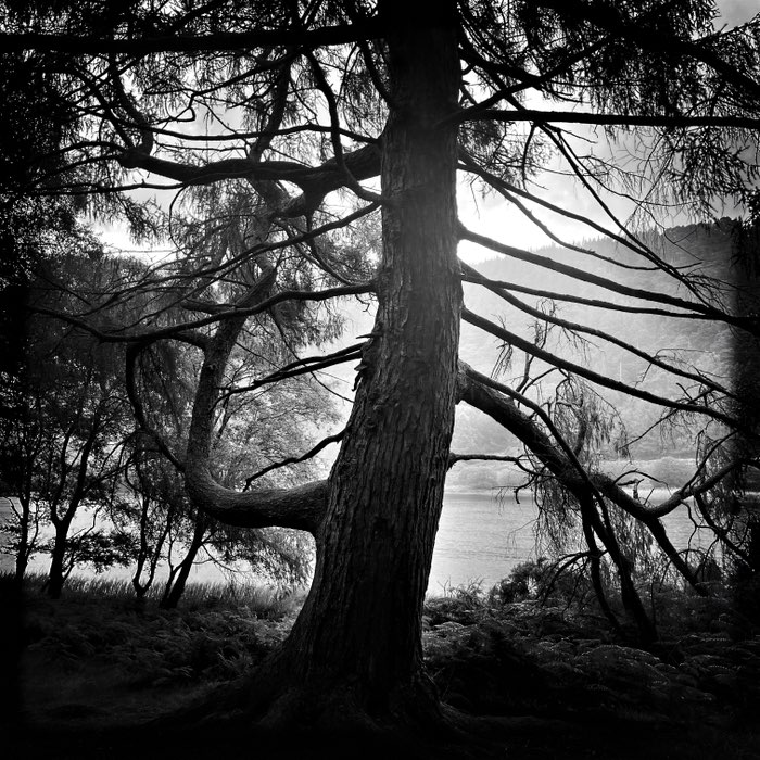 Photograph by @Leonardo, shot with John S + Aristotle