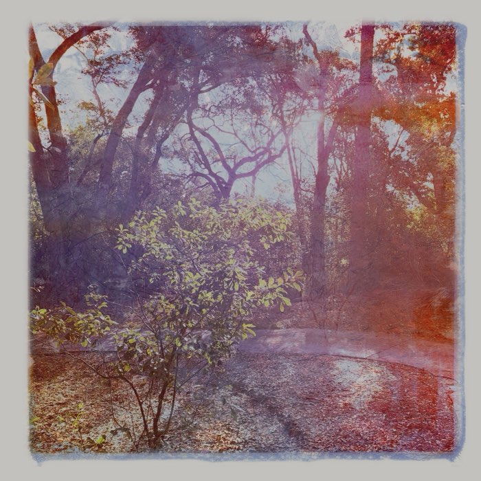 Photograph by @WillChenPhoto, shot with Susie + Slickrock 191 + Glow Pop