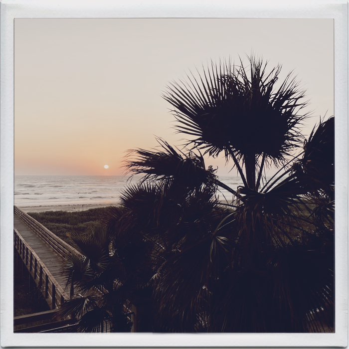 Photograph by @ZackG, shot with Alexander 35 + Abbot K20