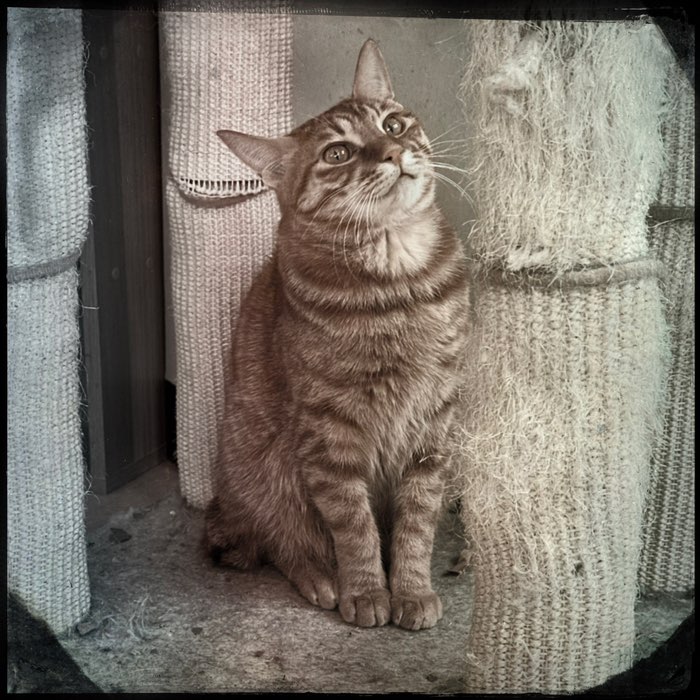 Photograph by @Zion, shot with Dale + C-Type Plate