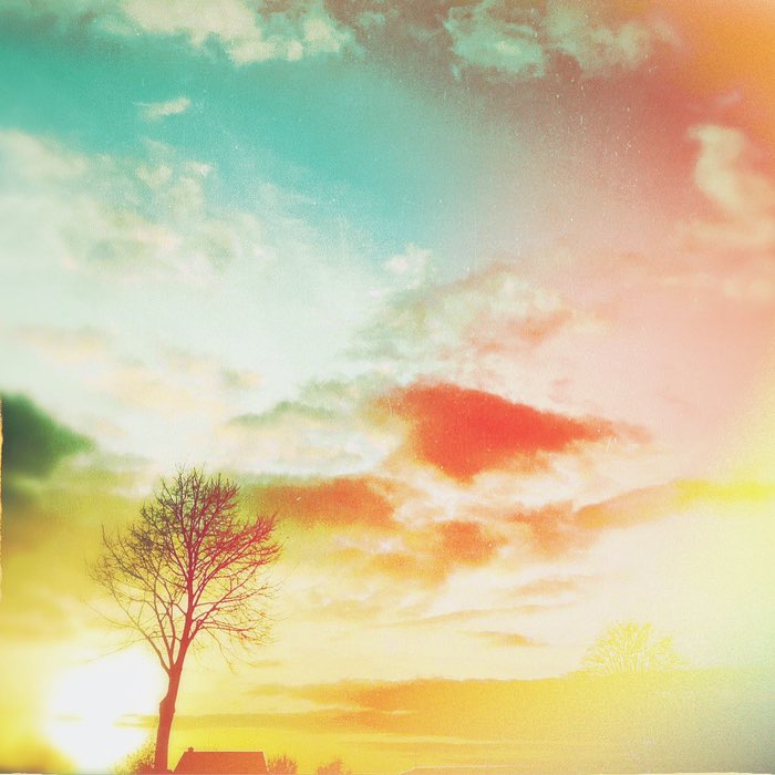 Photograph by @Minela, shot with Tequesta + Pop Rox + Sun 55