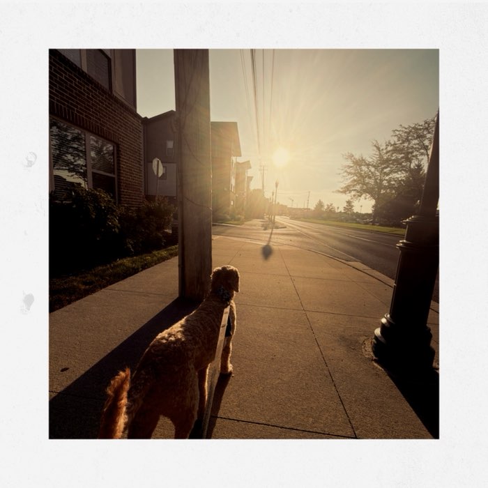 Photograph by @Luann, shot with Idriss L + Bream + Juicy Orange Gel