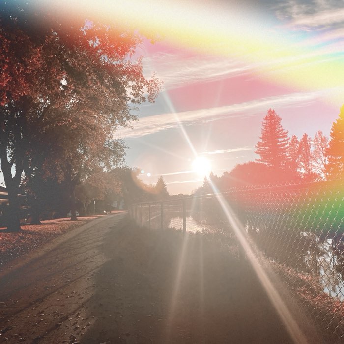 Photograph by @ddcacahuate, shot with Plymouth + Sun 55