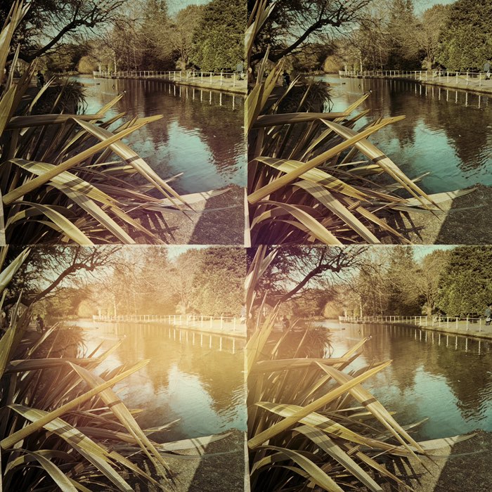 Photograph by @purplesime, shot with Müller + Dreampop + Prancer